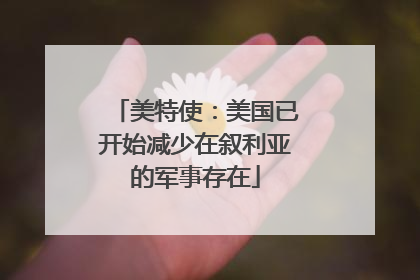 美特使：美国已开始减少在叙利亚的军事存在