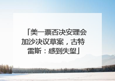 美一票否决安理会加沙决议草案，古特雷斯：感到失望