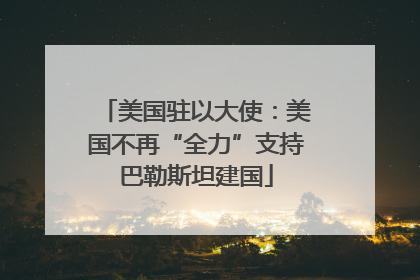 美国驻以大使：美国不再“全力”支持巴勒斯坦建国