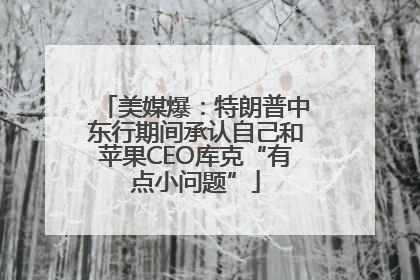 美媒爆：特朗普中东行期间承认自己和苹果CEO库克“有点小问题”