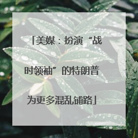 美媒：扮演“战时领袖”的特朗普为更多混乱铺路