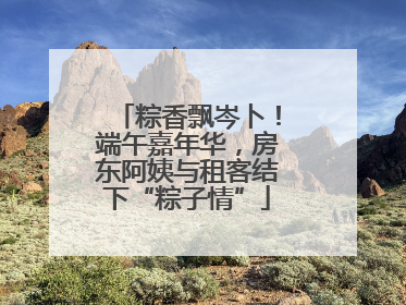粽香飘岑卜！端午嘉年华，房东阿姨与租客结下“粽子情”