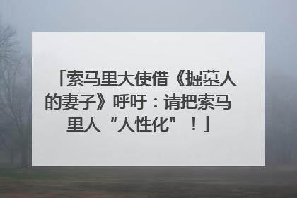 索马里大使借《掘墓人的妻子》呼吁：请把索马里人“人性化”！
