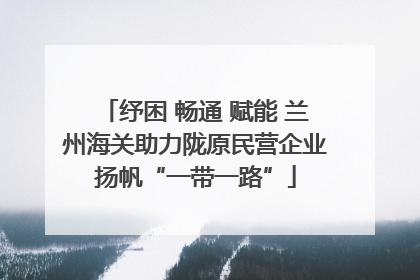 纾困 畅通 赋能 兰州海关助力陇原民营企业扬帆“一带一路”