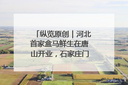 纵览原创｜河北首家盒马鲜生在唐山开业，石家庄门店预计8月开业