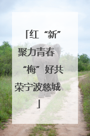 红“新”聚力青春 “梅”好共荣宁波慈城