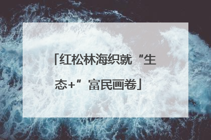 红松林海织就“生态+”富民画卷