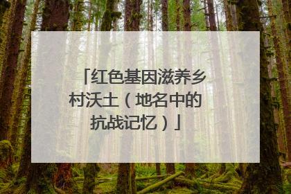 红色基因滋养乡村沃土（地名中的抗战记忆）