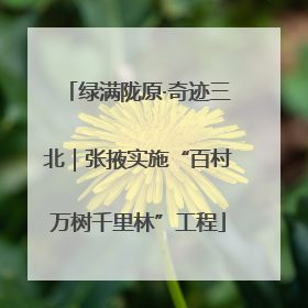 绿满陇原·奇迹三北｜张掖实施“百村万树千里林”工程