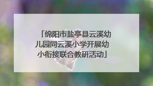 绵阳市盐亭县云溪幼儿园同云溪小学开展幼小衔接联合教研活动