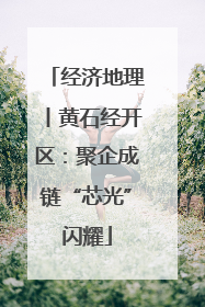 经济地理丨黄石经开区：聚企成链“芯光”闪耀