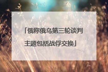 俄称俄乌第三轮谈判主题包括战俘交换