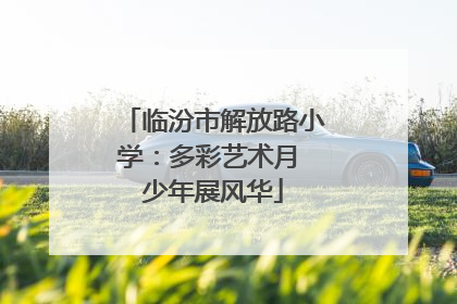 临汾市解放路小学：多彩艺术月 少年展风华