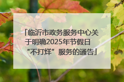 临沂市政务服务中心关于明确2025年节假日“不打烊”服务的通告