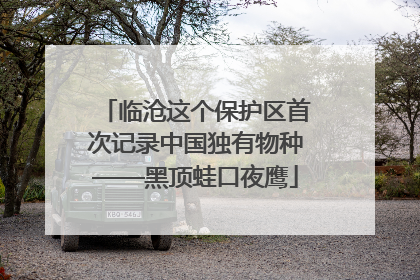 临沧这个保护区首次记录中国独有物种——黑顶蛙口夜鹰