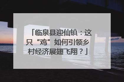 临泉县迎仙镇：这只“鸡”如何引领乡村经济展翅飞翔？
