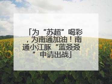 为“苏超”喝彩，为南通加油！南通小江豚“蓝叒叒”申请出战