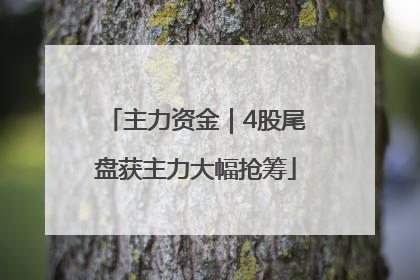 主力资金｜4股尾盘获主力大幅抢筹