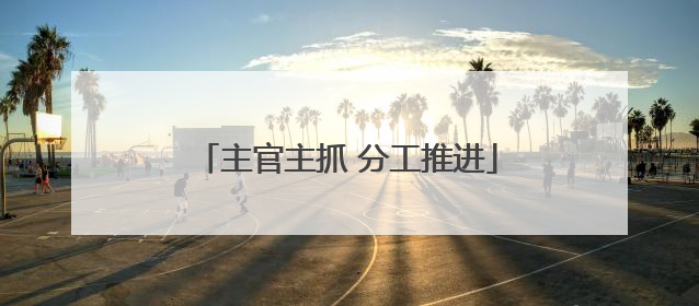 主官主抓 分工推进