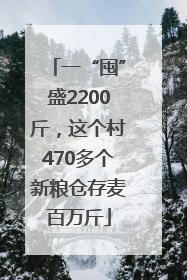 一“囤”盛2200斤，这个村470多个新粮仓存麦百万斤