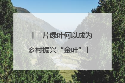 一片绿叶何以成为乡村振兴“金叶”