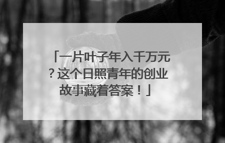 一片叶子年入千万元？这个日照青年的创业故事藏着答案！