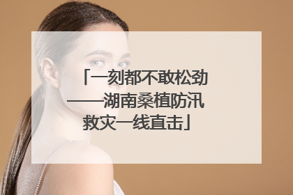 一刻都不敢松劲——湖南桑植防汛救灾一线直击