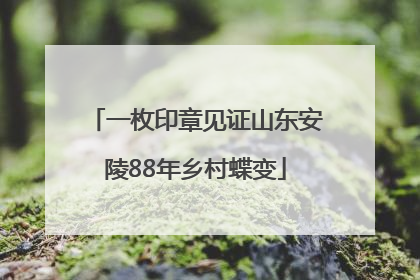 一枚印章见证山东安陵88年乡村蝶变