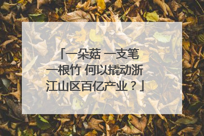 一朵菇 一支笔 一根竹 何以撬动浙江山区百亿产业？