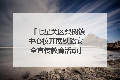 七星关区梨树镇中心校开展铁路安全宣传教育活动