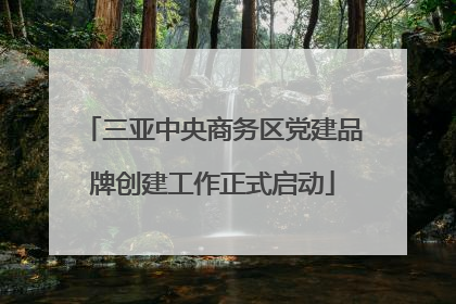 三亚中央商务区党建品牌创建工作正式启动