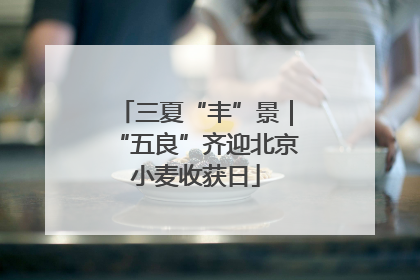 三夏“丰”景｜“五良”齐迎北京小麦收获日