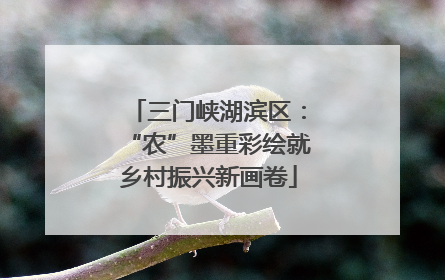 三门峡湖滨区：“农”墨重彩绘就乡村振兴新画卷