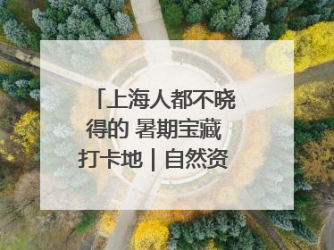 上海人都不晓得的 暑期宝藏打卡地｜自然资源探馆系列②