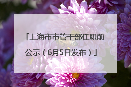 上海市市管干部任职前公示（6月5日发布）