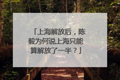 上海解放后，陈毅为何说上海只能算解放了一半？