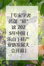 专家学者共谋“硅”途 2025年中国（乐山）硅产业链发展大会开幕