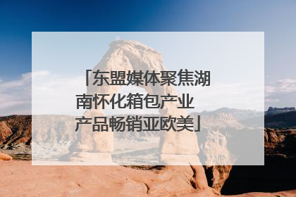 东盟媒体聚焦湖南怀化箱包产业 产品畅销亚欧美