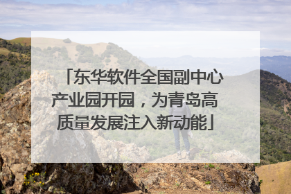 东华软件全国副中心产业园开园，为青岛高质量发展注入新动能