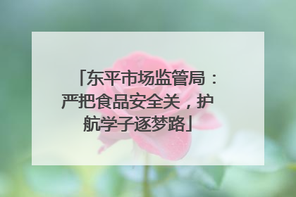 东平市场监管局：严把食品安全关，护航学子逐梦路