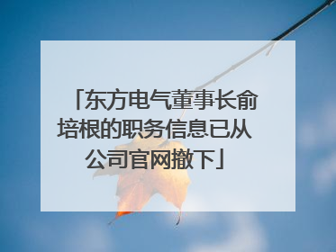 东方电气董事长俞培根的职务信息已从公司官网撤下
