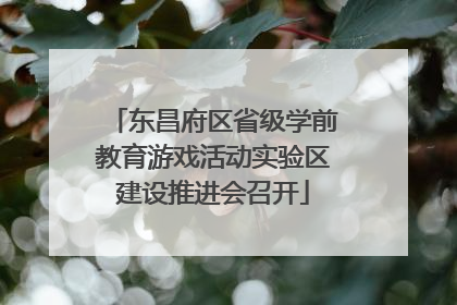 东昌府区省级学前教育游戏活动实验区建设推进会召开