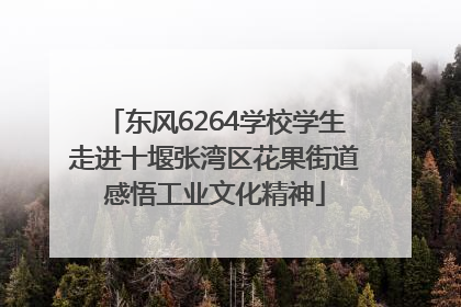东风6264学校学生走进十堰张湾区花果街道感悟工业文化精神