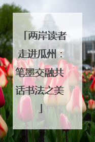 两岸读者走进瓜州：笔墨交融共话书法之美