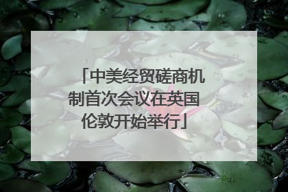 中美经贸磋商机制首次会议在英国伦敦开始举行
