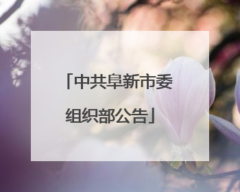中共阜新市委组织部公告