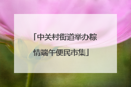 中关村街道举办粽情端午便民市集