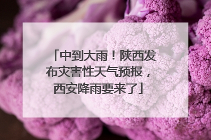 中到大雨！陕西发布灾害性天气预报，西安降雨要来了