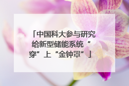 中国科大参与研究 给新型储能系统“穿”上“金钟罩”