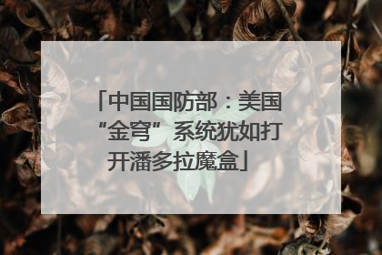 中国国防部：美国“金穹”系统犹如打开潘多拉魔盒